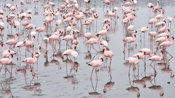 Golf & Sightseeing in Namibia: Walvis Bay