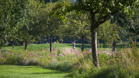 Ab dem 11. Mai darf man in Bayern wieder spielen u.a. im GC München Eichenried