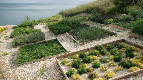 Für Feinschmecker: Im Restaurant "Geti" in Thracian Cliffs wird mit Produkten aus dem hauseigenen Garten gezaubert.