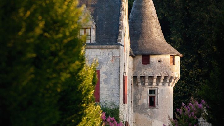 Geführte Weintouren öffnen fast alle Tore