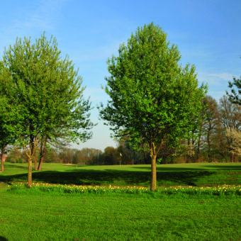 Hamelner Golfclub
