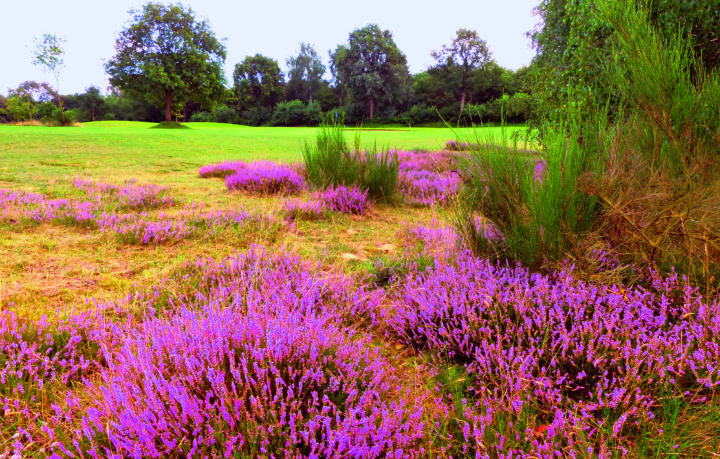 Golfclub am Donner Kleve