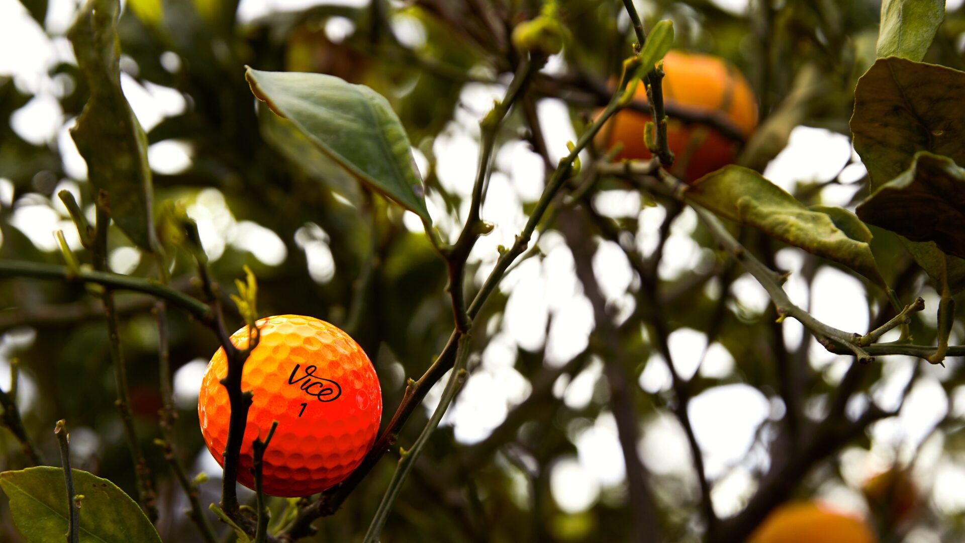 Golfneuheiten