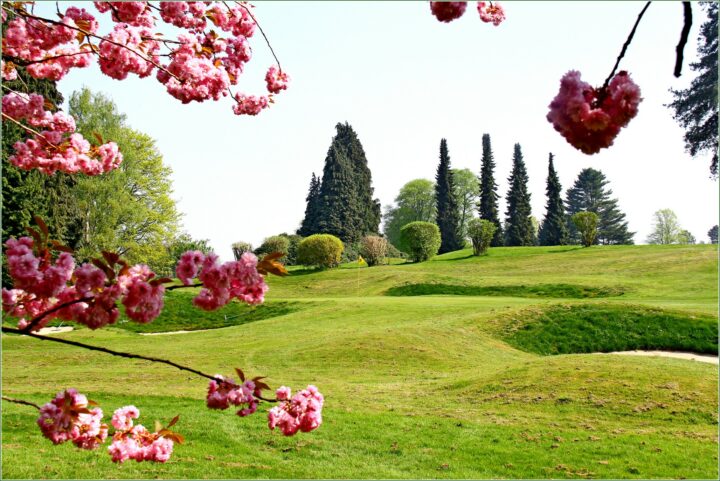 Golf in Brüssel