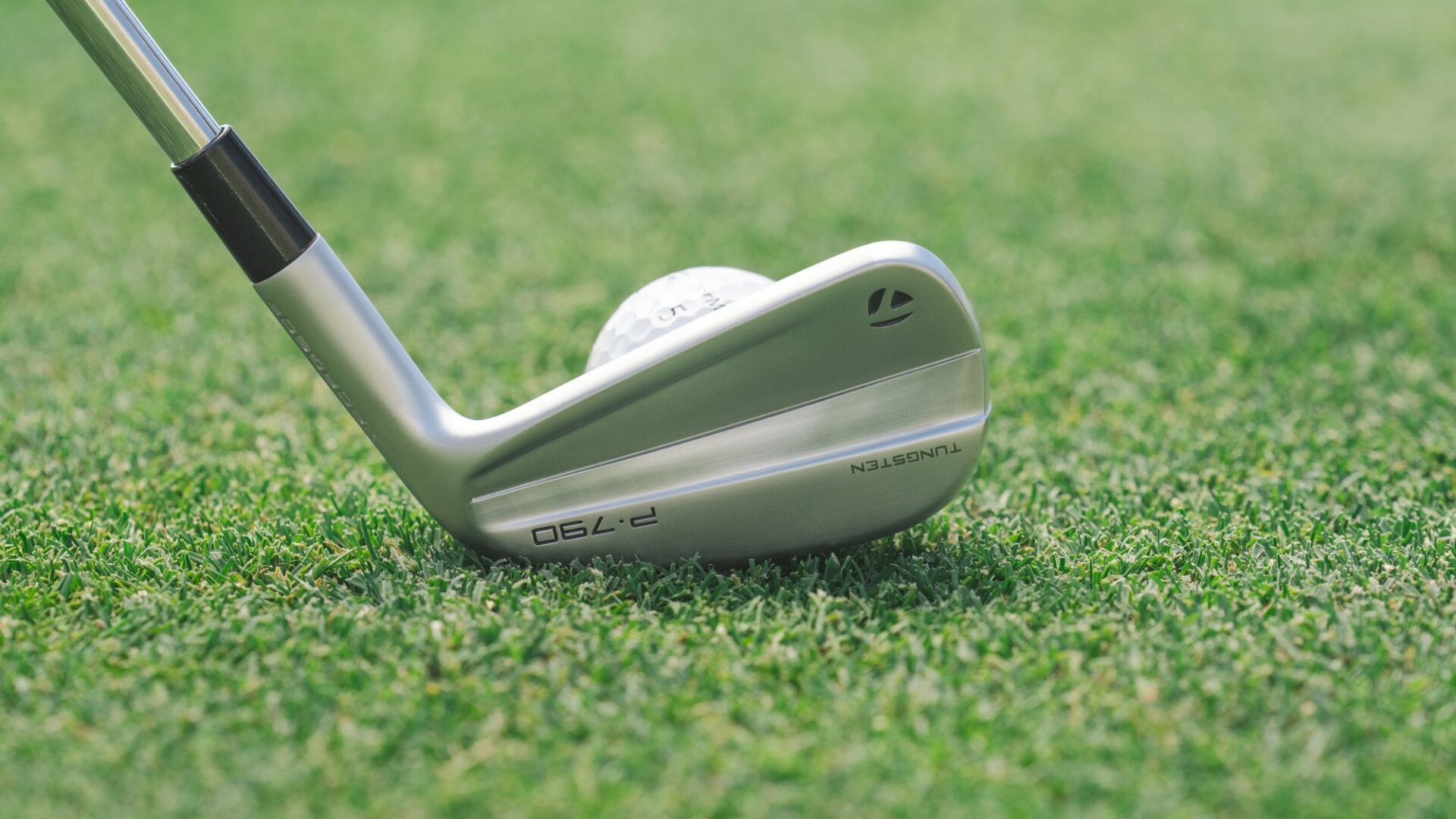 TaylorMade P790 Eisen