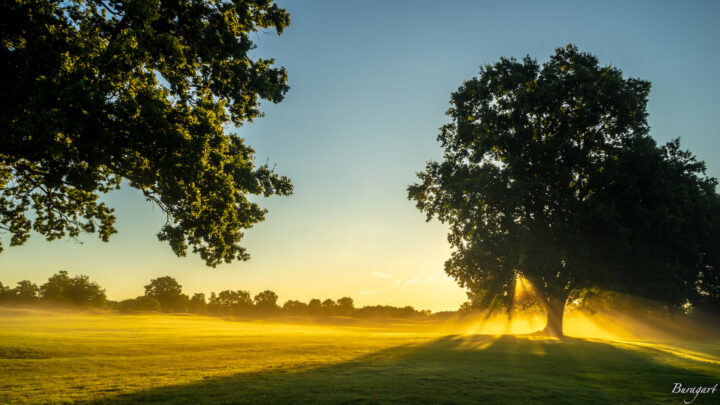 Morgenstimmung Schloss Lüdersburg