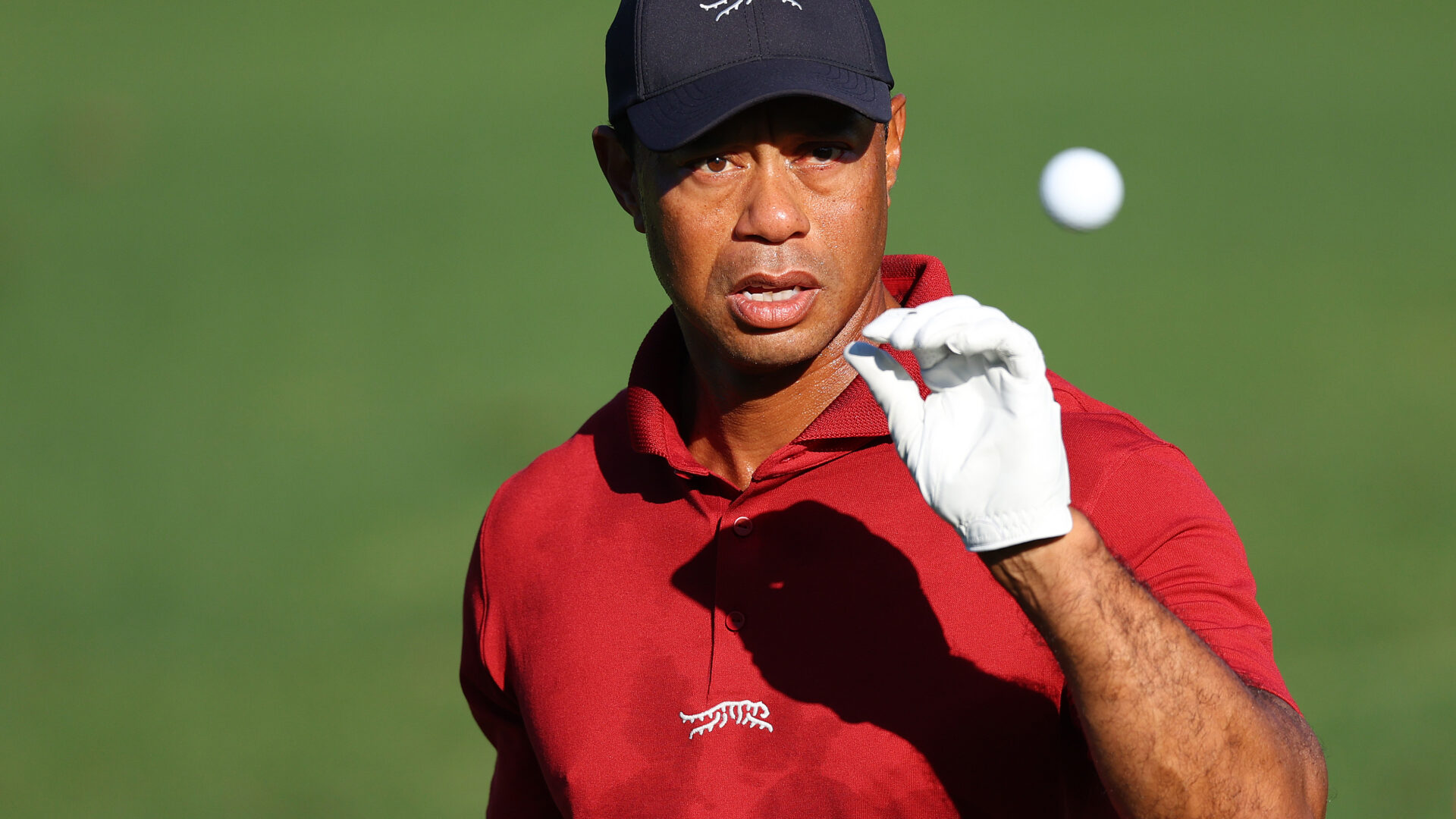 Tiger Woods beim Masters 2024