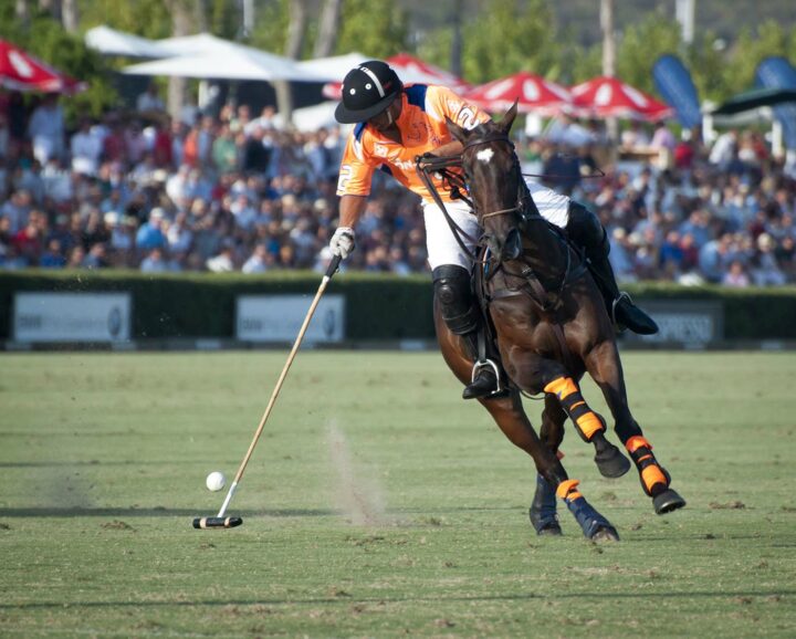 Sotogrande Spain Polo