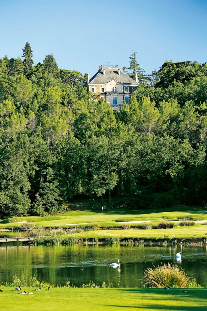 Terre Blanche Hotel Spa Golf Resort