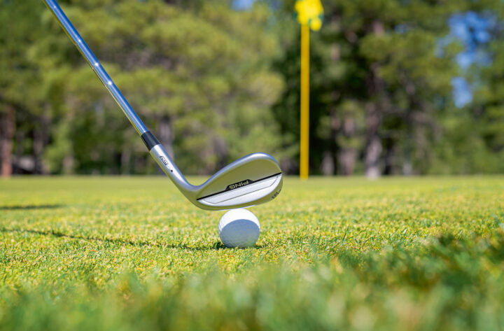 Blick auf den Markt: Wedges 2025