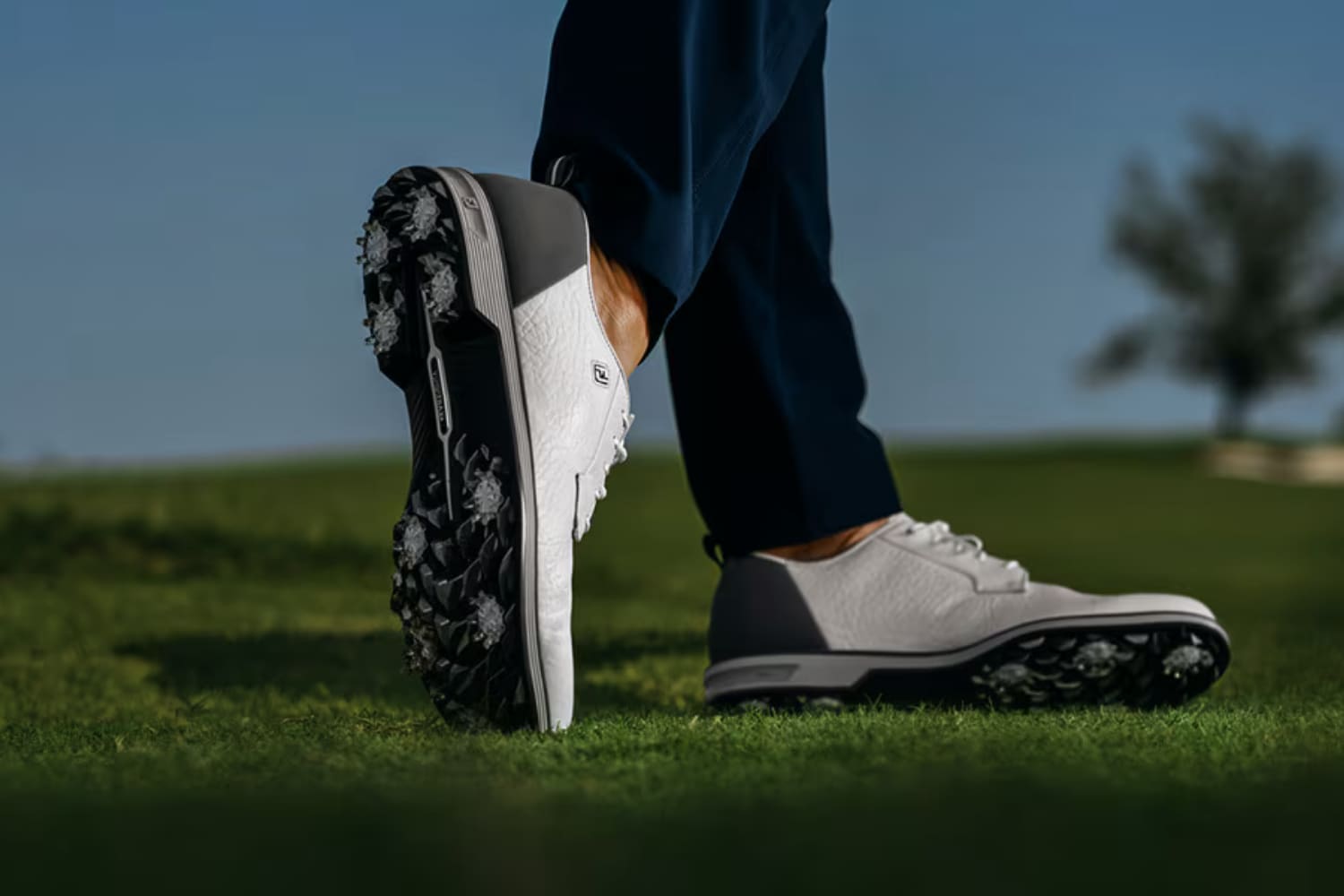 Footjoy Premiere Series - Field LX