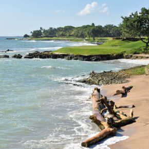 Casa de Campo: Teeth of the Dog