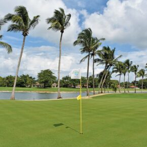 Casa de Campo: The Links