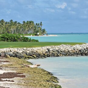 La Cana (Tortuga & Arrecife)