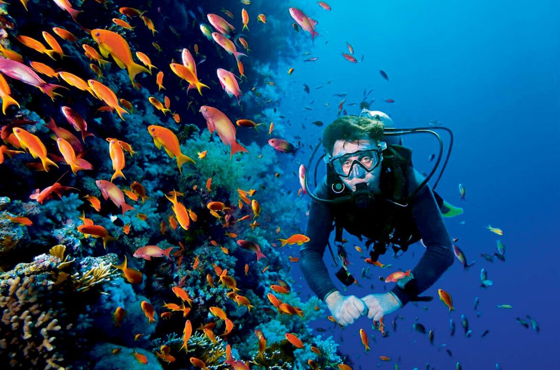 Isla Catalina: kristallklares Wasser, Korallenriffe – ideal zum Schnorcheln oder Entspannen am Strand.